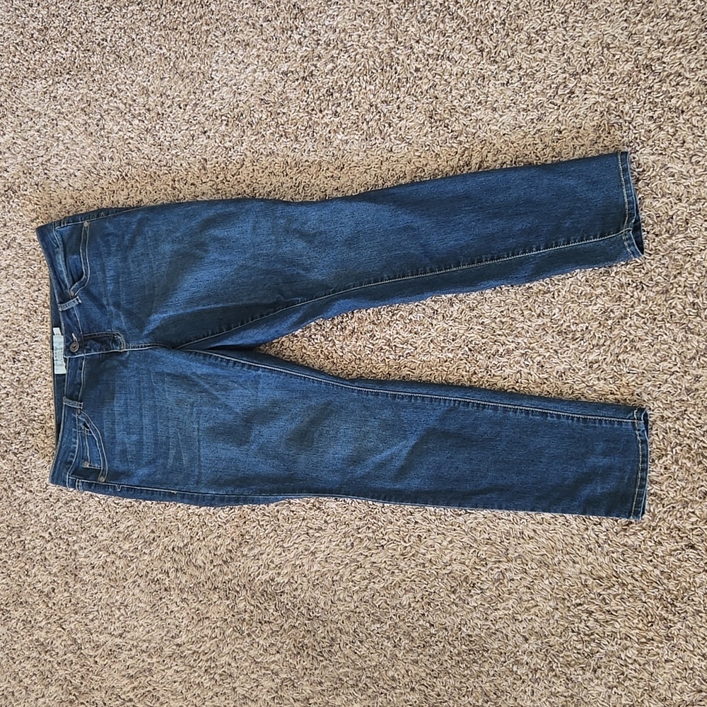 Torrid Denim Jeans